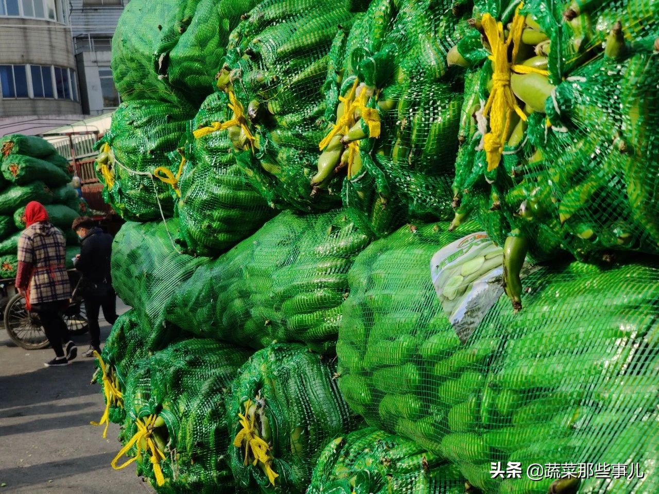 今日上海江桥带壳鲜蚕豆批发价,上海江桥批发市场蚕豆最新价格