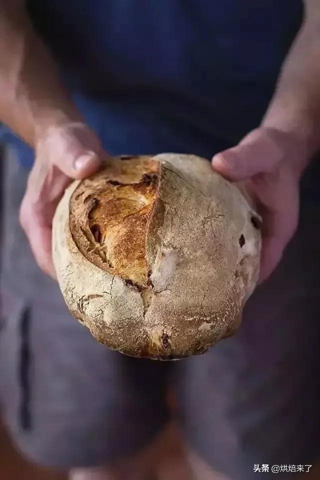 防止面包发霉的方法有哪一些呢,面包发霉最快的办法