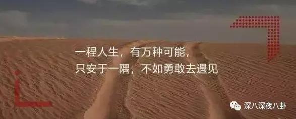 最新神仙综艺节目,2019高分冷门的良心综艺安利