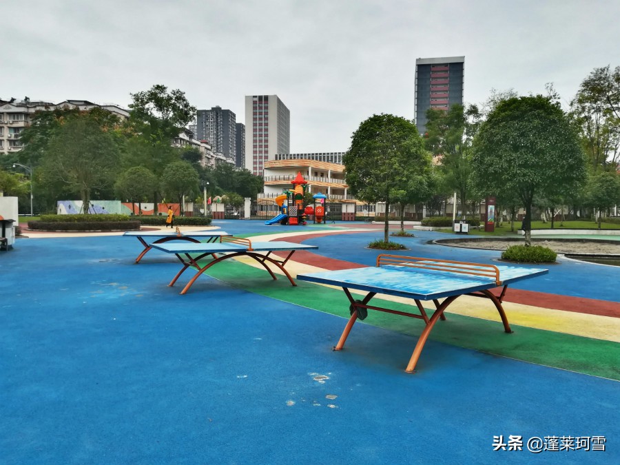 自贡汇东足球,自贡5人制足球联赛