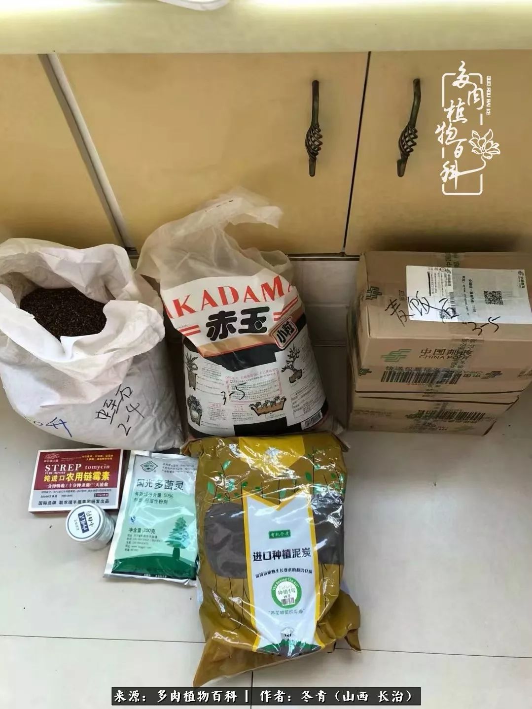 新手养的多肉怎么管理好看,阳台养多肉正确方法