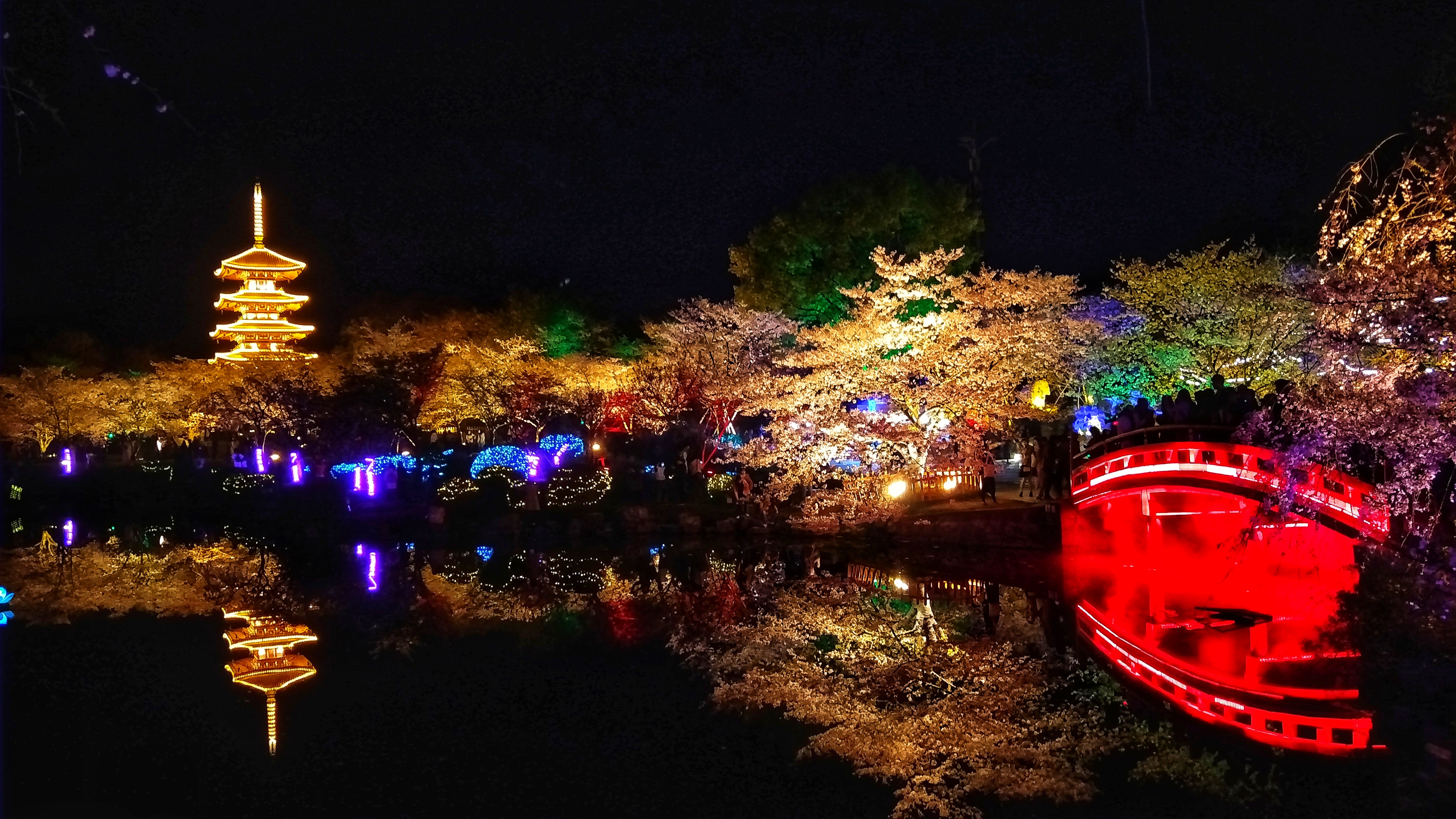 武汉赏樱之旅,武汉东湖樱园赏樱