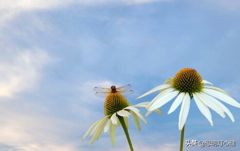 如何不恐艾消除艾滋病恐惧症状需远离网络回归现实生活