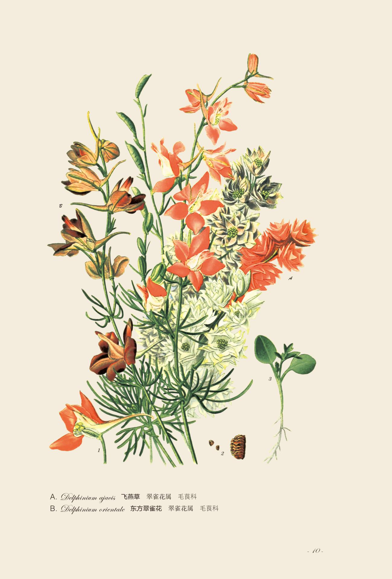 园艺花卉图谱这本书怎么样,中国花卉园艺