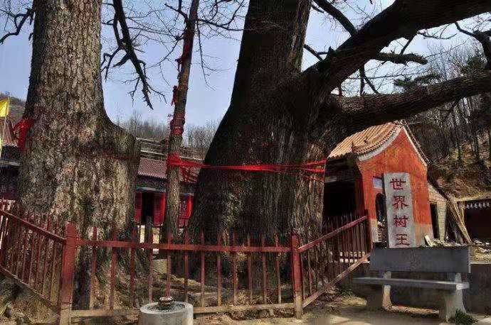 千年古刹鲁山文殊寺,鲁山文殊寺景区