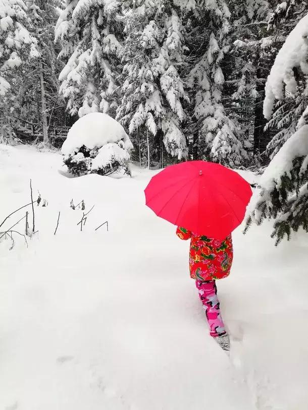 11月份的雪乡有雪吗,雪乡和新雪乡有什么区别