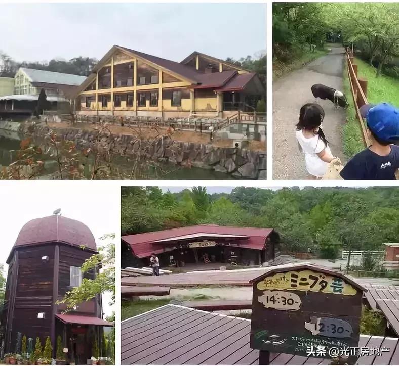 亲子游乐与乡村振兴,乡村振兴与旅游结合的优秀案例