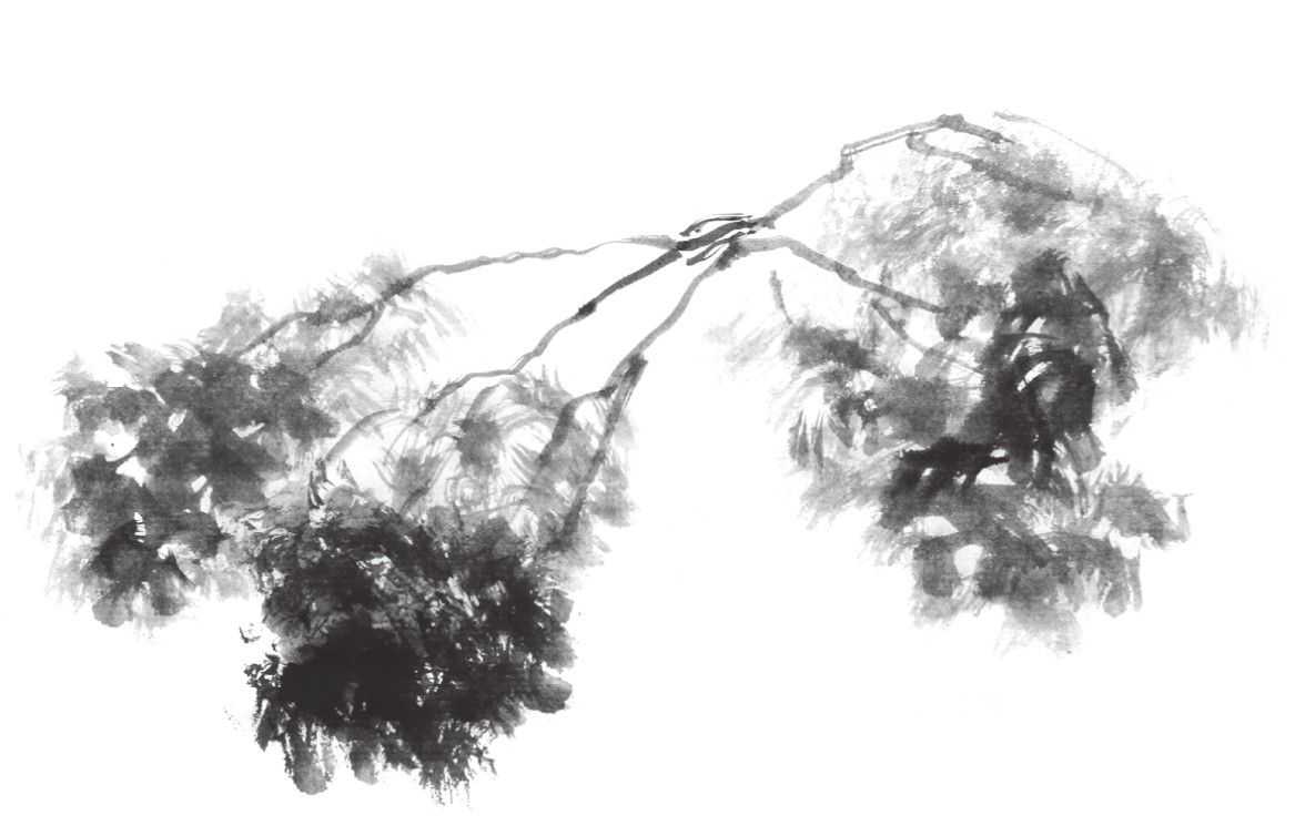 国画刘存惠荷花画法全视频,国画山水画教学视频荷花画法