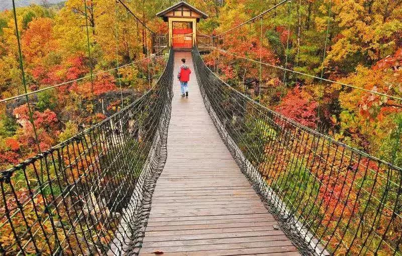 中国“林海”，你可能还不知道，这是一个低调很久了高颜值县城！