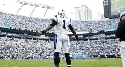 《永别了卡罗莱纳,你好新英格兰》——牛顿的告白