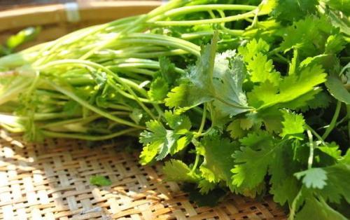 年纪大手脚冰凉怎么调理,手脚冰凉怎么办青少年