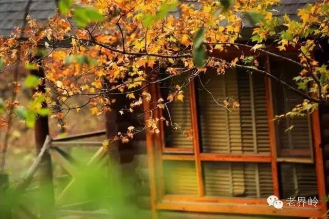 老界岭金秋十月旅游季,老界岭景区9月全国游客免门票