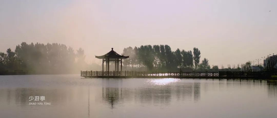 相约万亩荷花,相约荷花荡书法作品欣赏