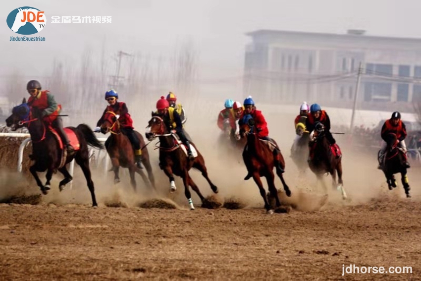 马术速度公开赛,2019年全国马术锦标赛