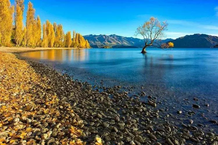 新西兰南岛有哪些城镇的湖,新西兰姊妹湖在哪里