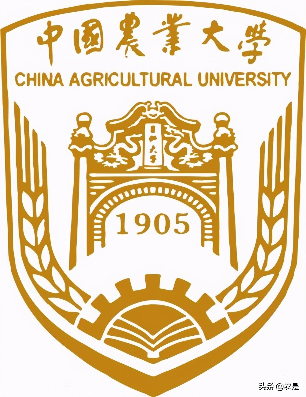 马秋刚,中国农业大学教授、博导,畜禽营养专家