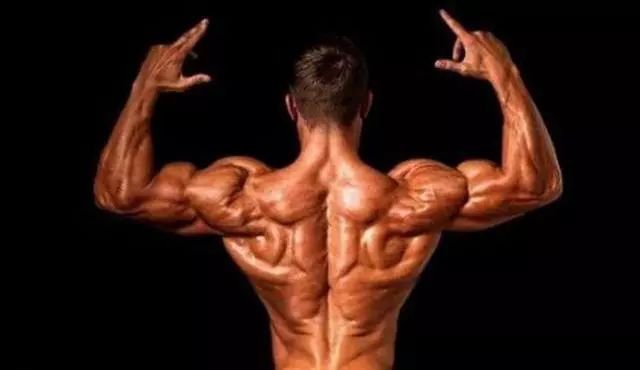 肩部怎么训练不伤肩,肩部比较窄塌肩该怎么训练呢