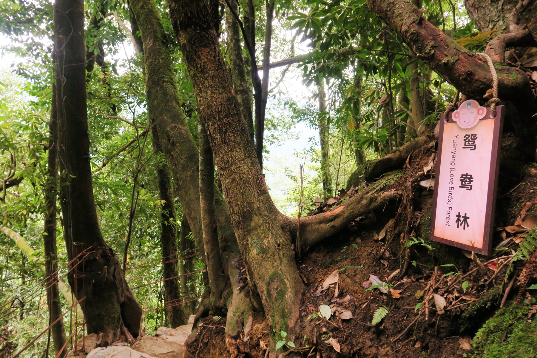 猴山飞瀑,猴山飞瀑旅游区地图