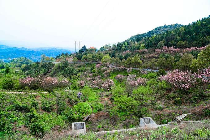 疫情对湖南这里居然丝毫没有影响！0病发，还超级适合徒步旅行！