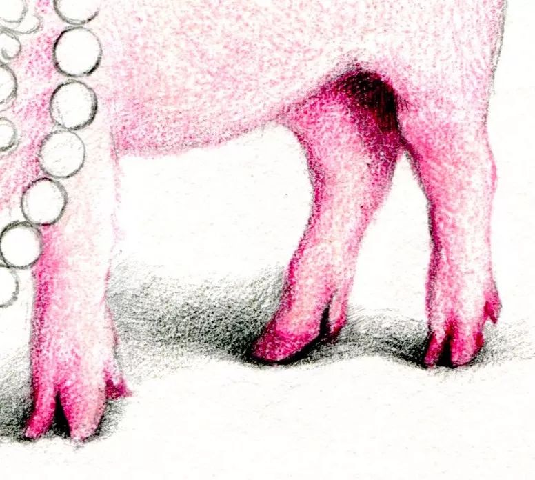 猪年画猪,猪年怎么画