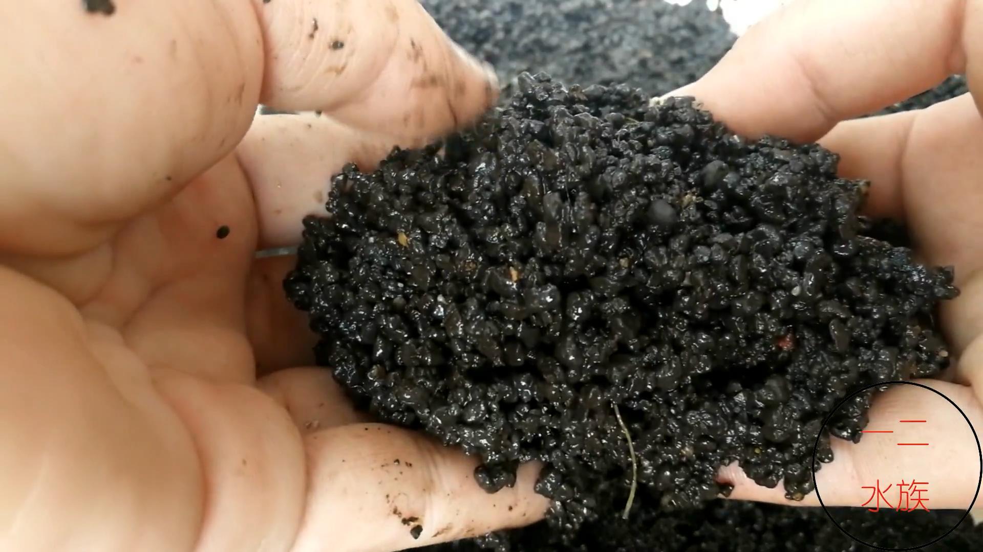 尼特利水草泥一年后能粉化吗,底砂过滤会加速水草泥粉化吗