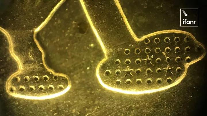 跳蚤在显微镜下长什么样,把显微镜放大40亿倍