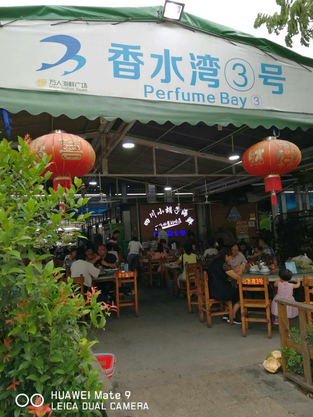 我的海南之旅作文,从海口到三亚感受海南的无限魅力