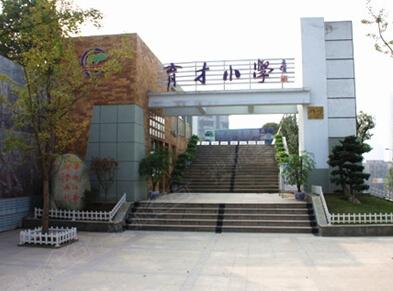 重庆都有哪些名校,重庆市主城区各区中学校排名