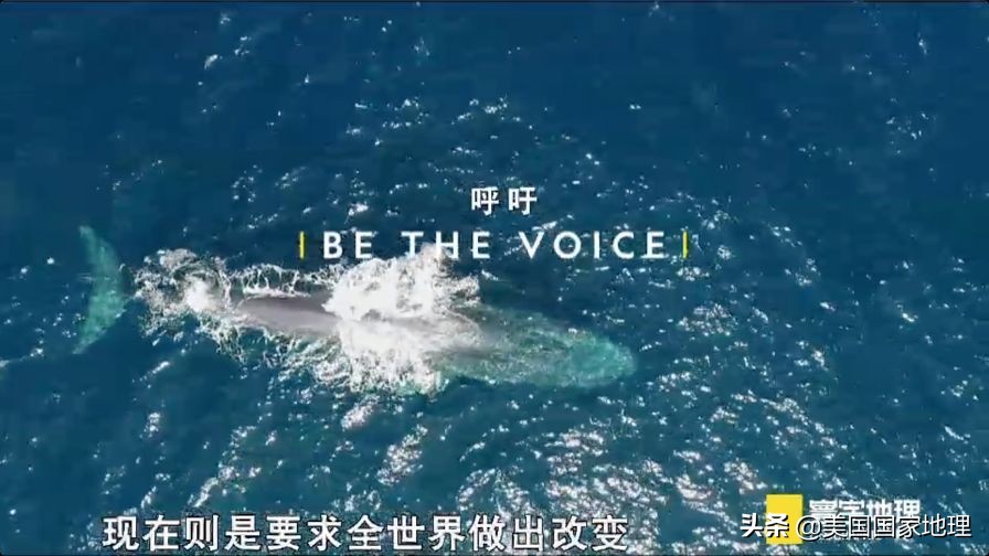 是什么激励着国家地理女探险家们改变世界的?