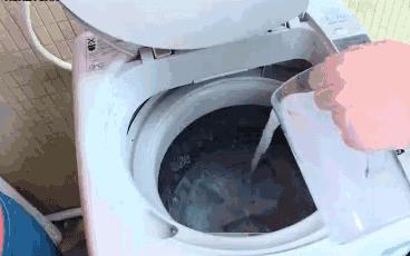 洗衣机洗衣服得霉菌,洗衣机清洗出来的霉菌