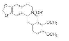 背它！考前必看82个易错考点