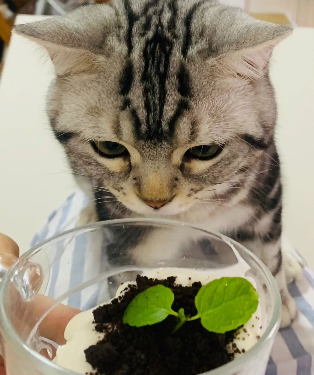 人憋久了，对酸奶什么事都做得出来