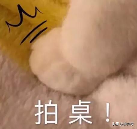 上班族副业推荐ppt,如何用ppt实现副业收入