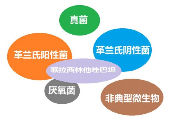 看图“话”抗菌谱，赶紧收藏