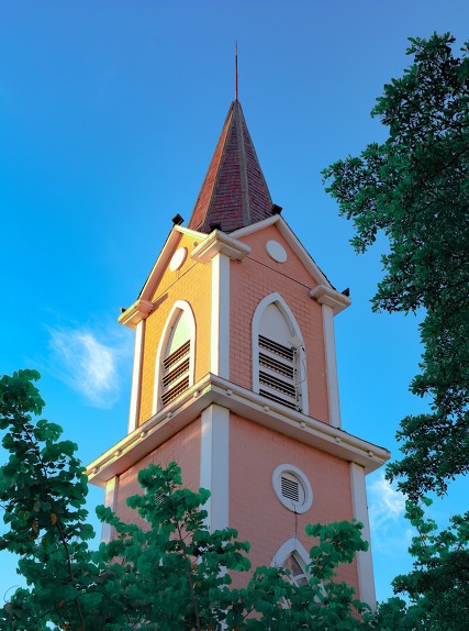 深圳南山区的花卉市场——荷兰花卉小镇