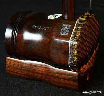 二胡可以使用二胡蛇皮保养膏吗,二胡的使用和保养