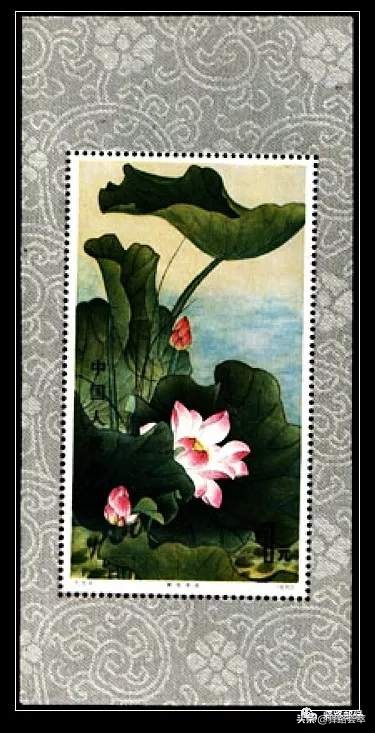 柯汝读邮：荷花T54映日荷花别样红