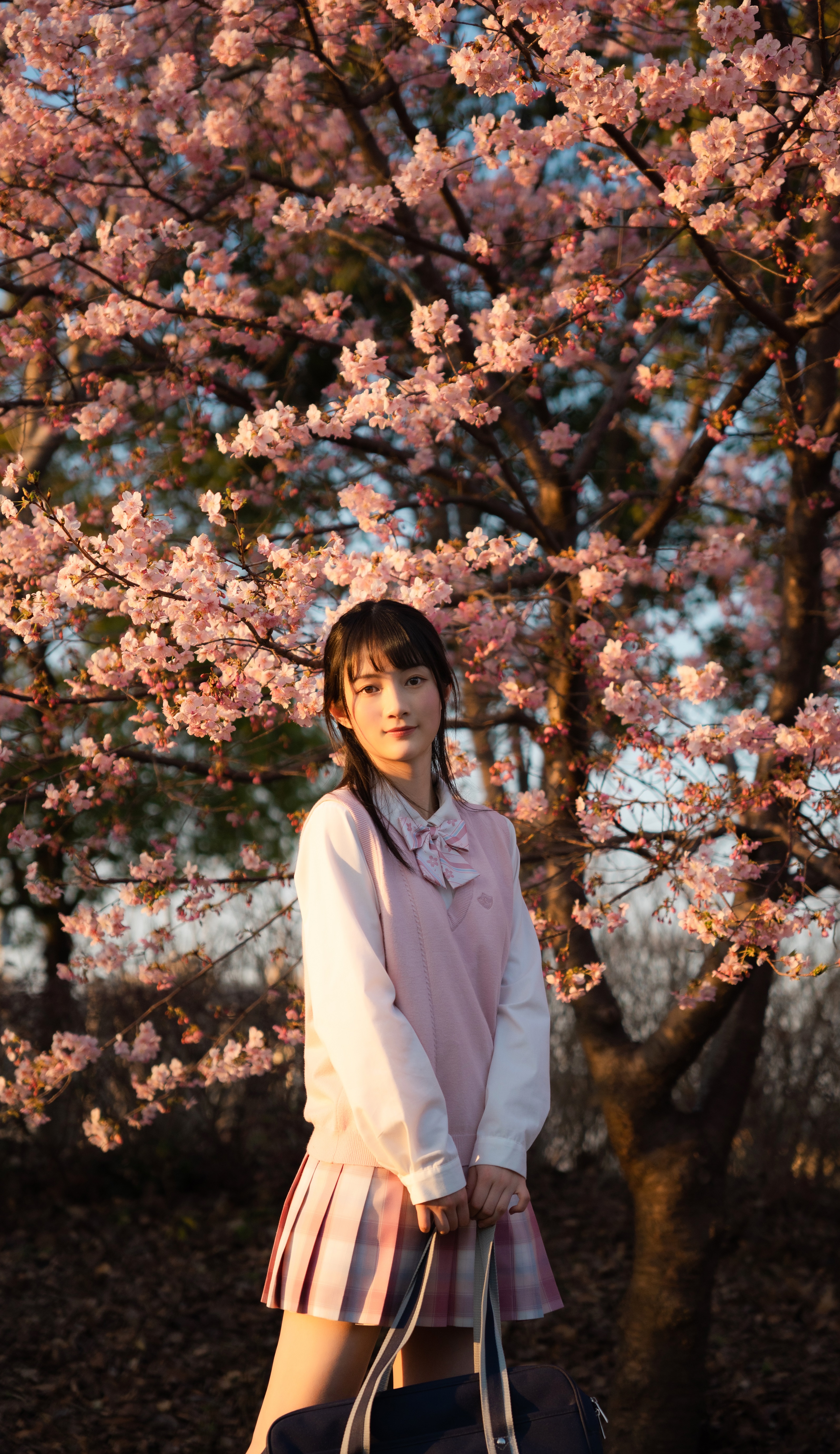 适马24-702.8二代镜头测评,适马新出的24-702.8镜头怎样