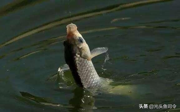 鱼竿钓轮胎，鱼线拉小车，渔具中的套路，你中奖没？说出来不丢人