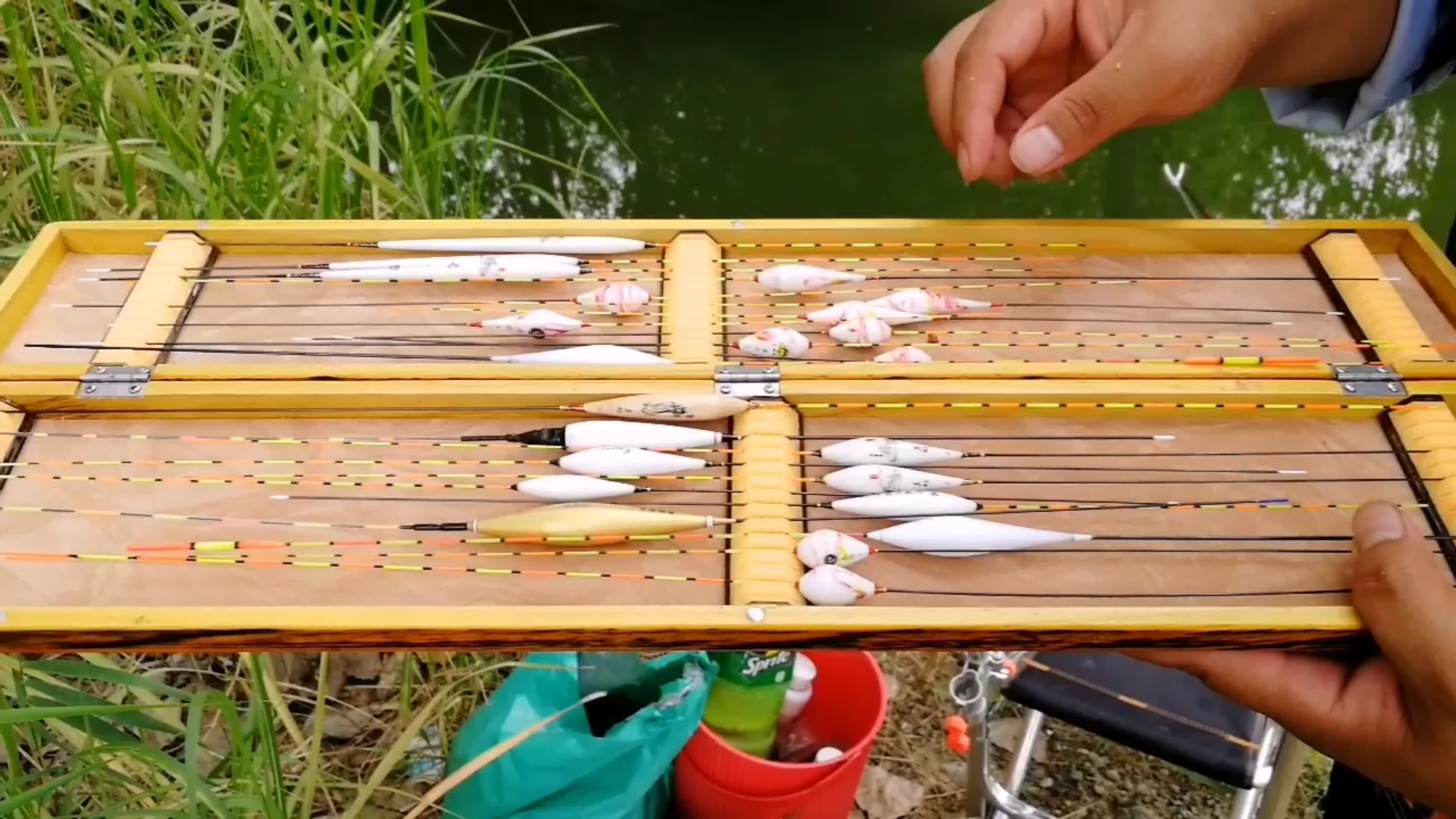 防止小鱼闹窝最有效的4大套路,小鱼闹窝厉害怎么解决