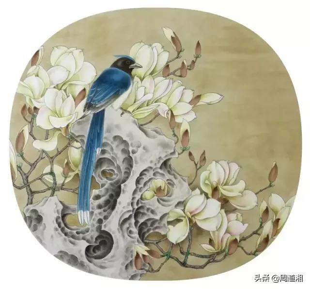 宋人工笔花鸟临摹步骤,工笔花鸟玉兰的画法