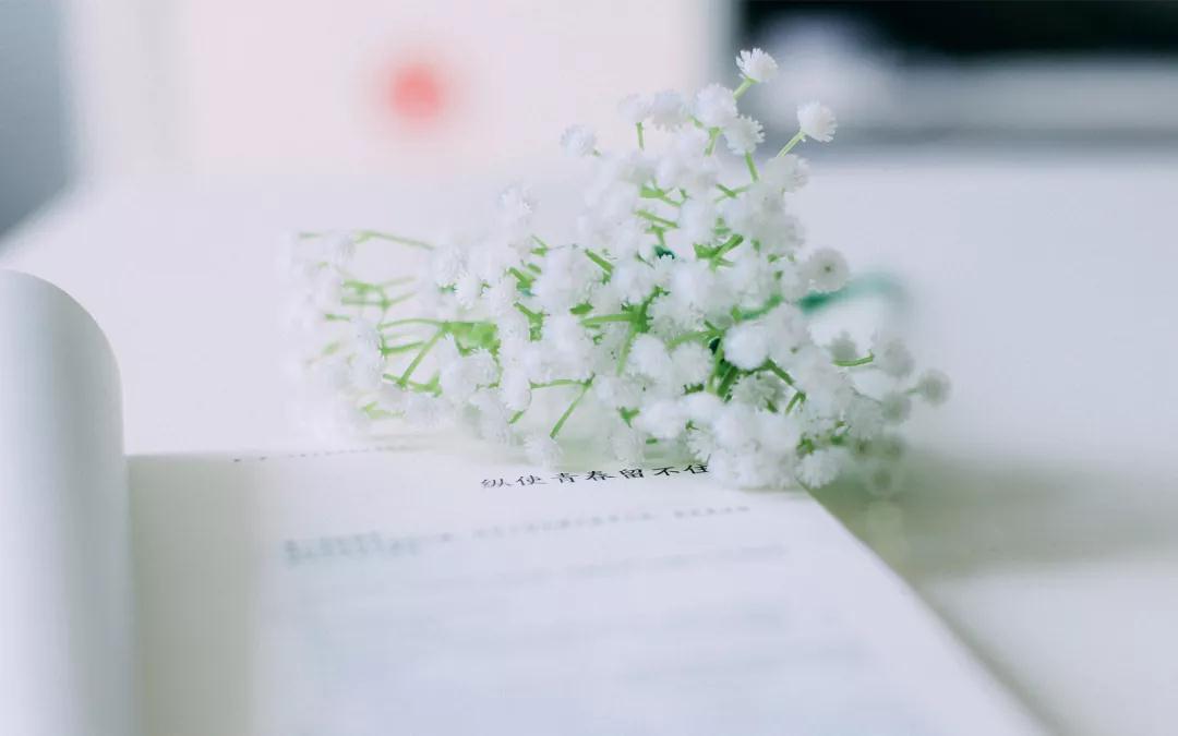 你最美的样子就是对生活温柔,对生活温柔以待