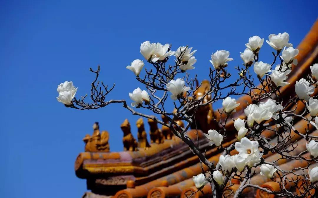 中国古代哲学名言大全,中国古代哲学名言名句汇总