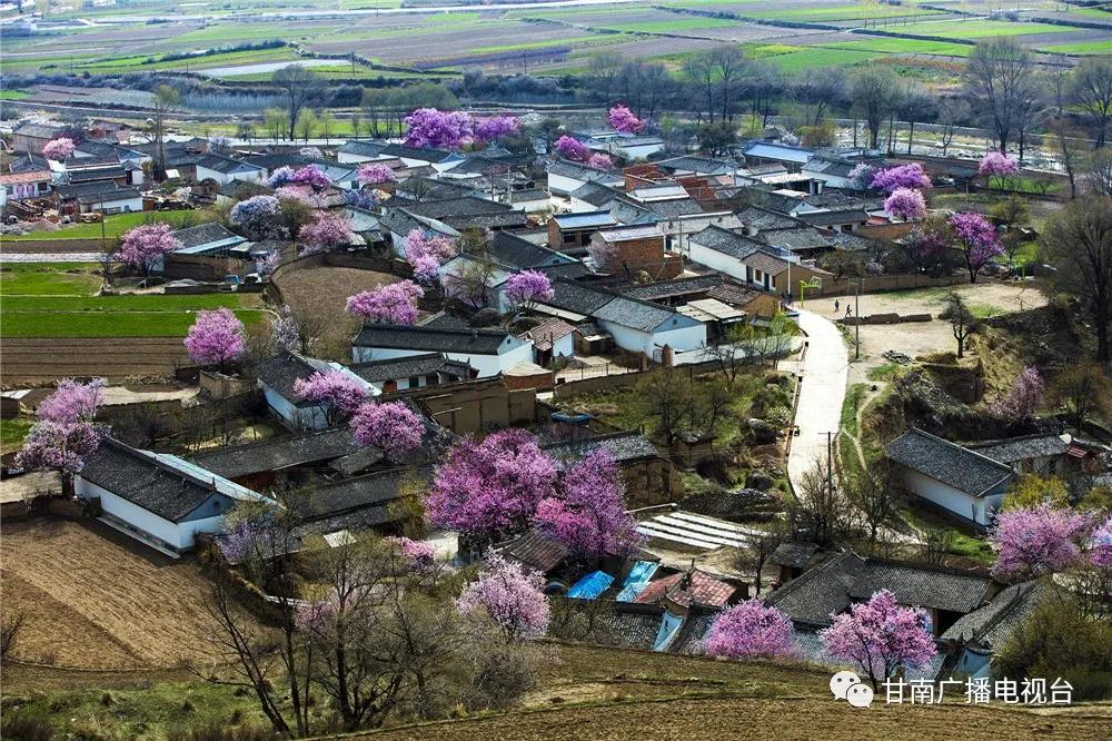 高晓东临潭县委书记,临潭县委书记高晓东