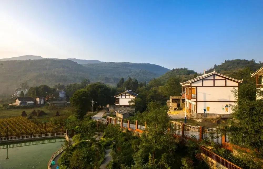 侠女张洁：一个啤酒经销商的十年南征北战