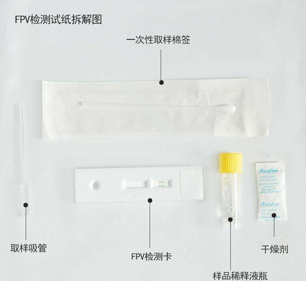 辟谣！买猫光看颜值就行了？不仅要好看的皮囊，四肢协调更重要