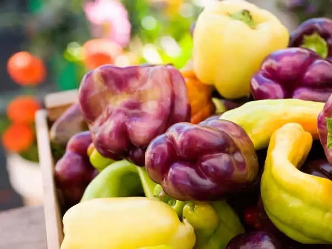 减肥是不是要有饥饿感,减肥如何抑制住饿