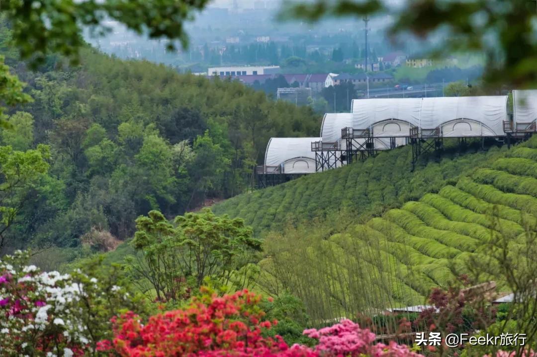 五一莫奈庄园一日游,五一不出游在家门口看风景