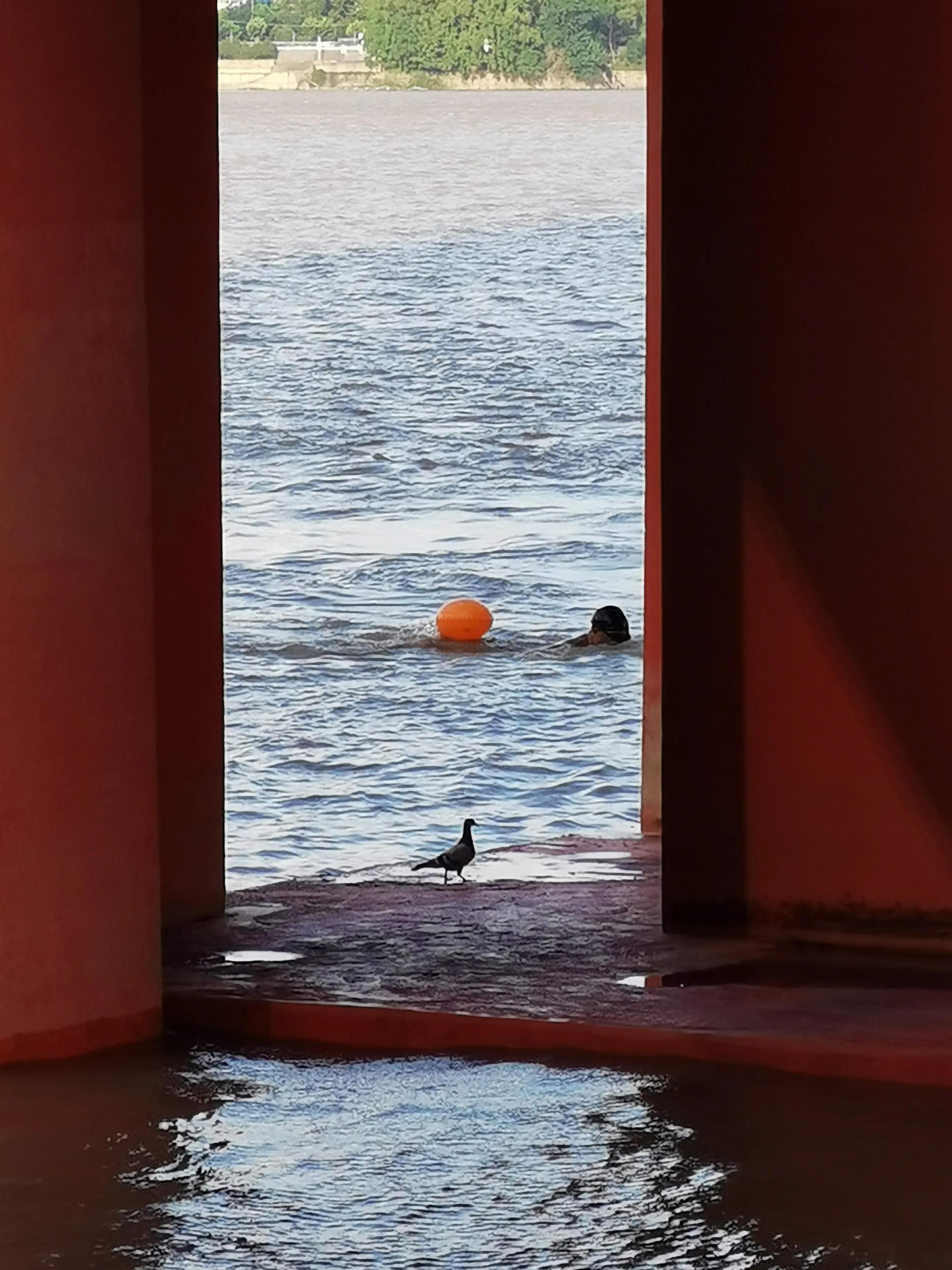 手拍世界作品集402期,2022年世界手机摄影大赛征稿