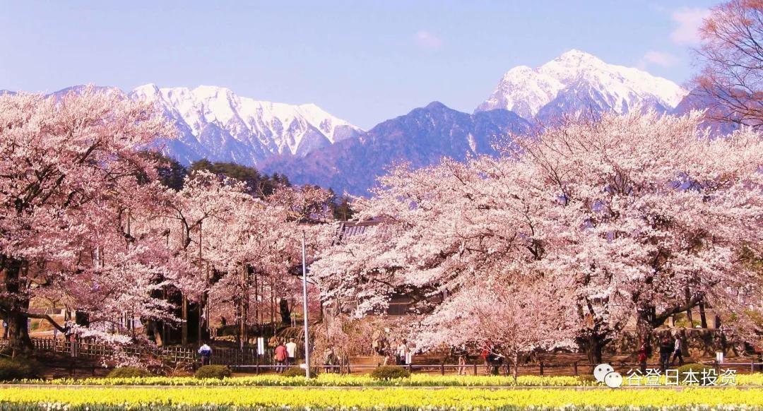 「谷登知识星球」浴衣、烟火，在祭奠中拥抱夏日吧
